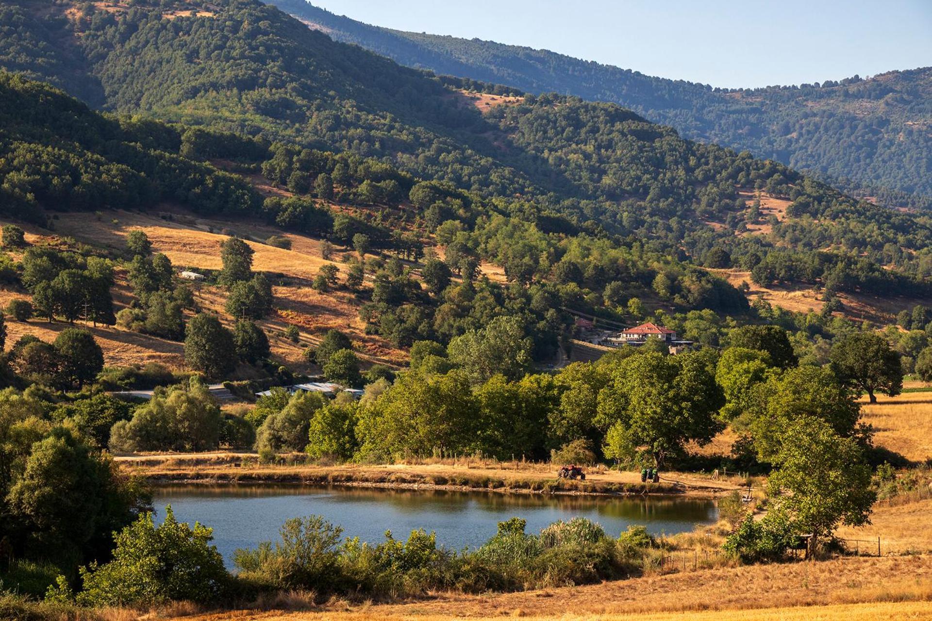 Ktima Bellou Agios Dimitrios  Екстер'єр фото